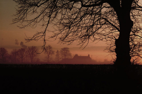 house fog