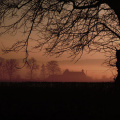 house fog