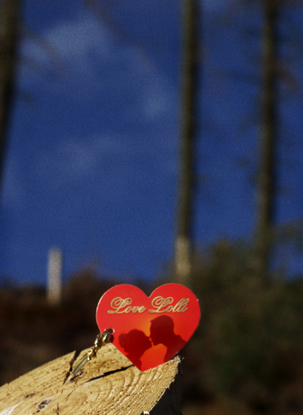 love_lolli.jpg