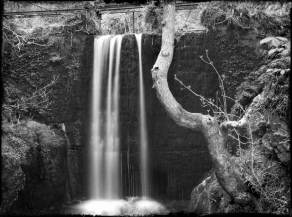 falltree