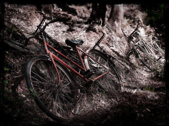6bikes 1
