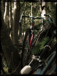 bikes 3