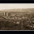 CNV00009 copy