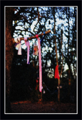 CNV00020 copy