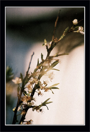 CNV00023 copy