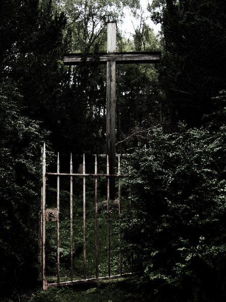into the garden