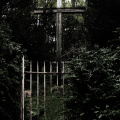 into the garden