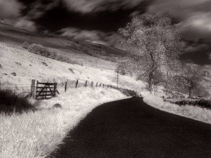 ir road stag
