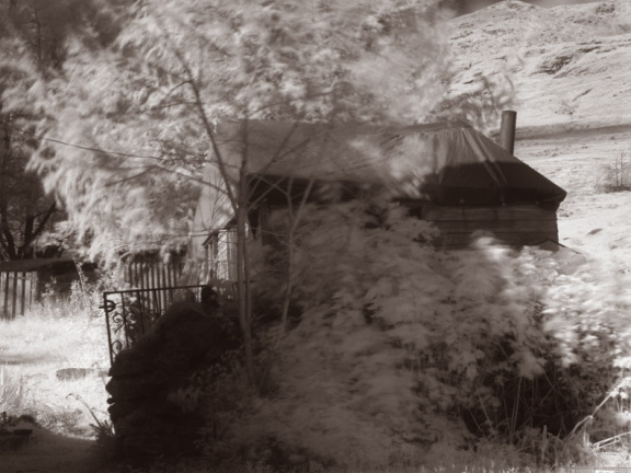 ir stag shed duotone