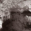 ir stag shed duotone