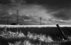 unfenced700