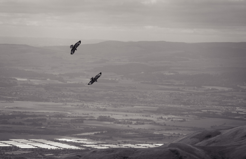20130908 DSC 6745 1000
