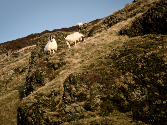 20140101 DSC 8058 1000