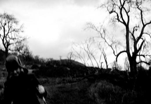 20140120 DSC 8085 1000