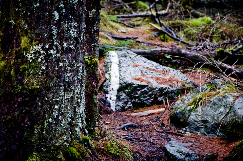20140308 DSC 8899 1000