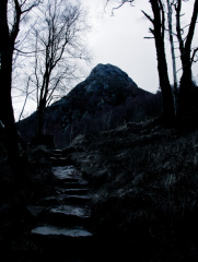 20140308 DSC 8905 1000