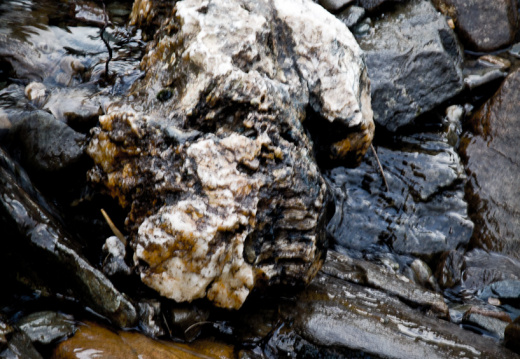 20140308 DSC 8917 1000