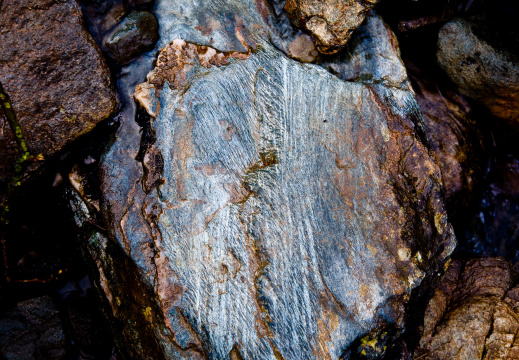 20140308 DSC 8919 1000