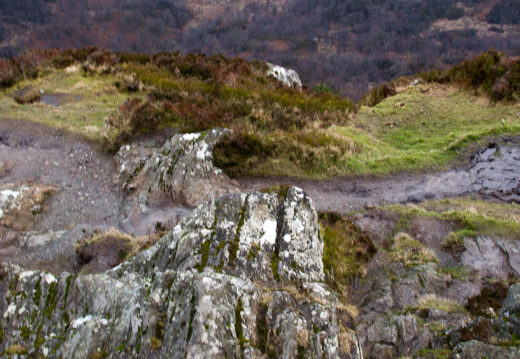 20140308 DSC 8931 1000