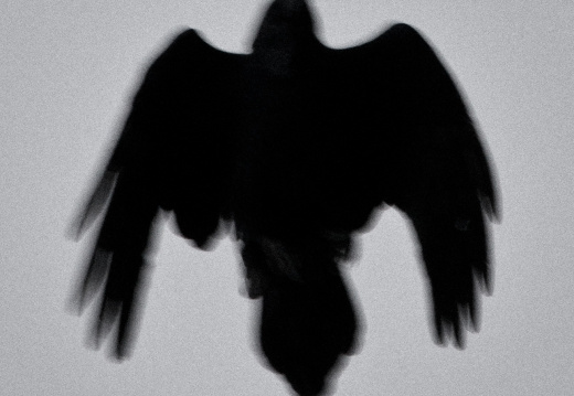 20140308 DSC 8941 1000