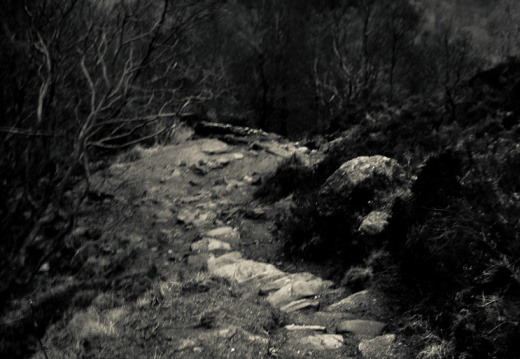 20140308 DSC 8946 1000