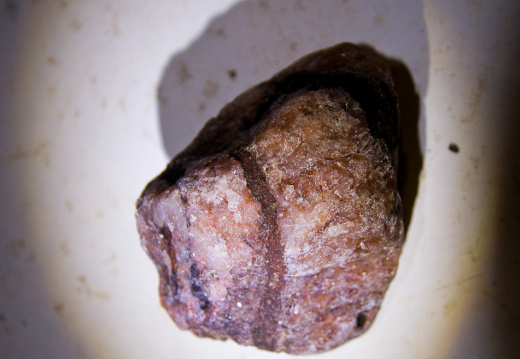 20140308 DSC 8967 1000