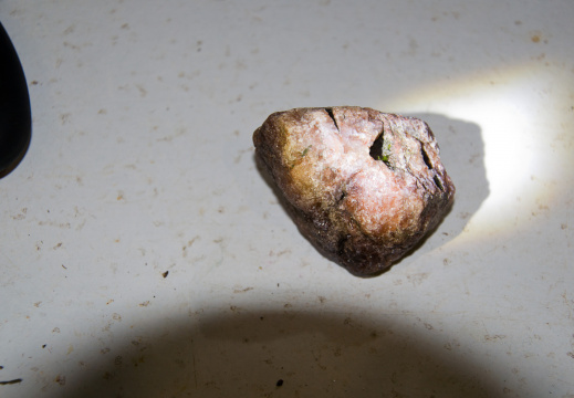 20140308 DSC 8971 1000