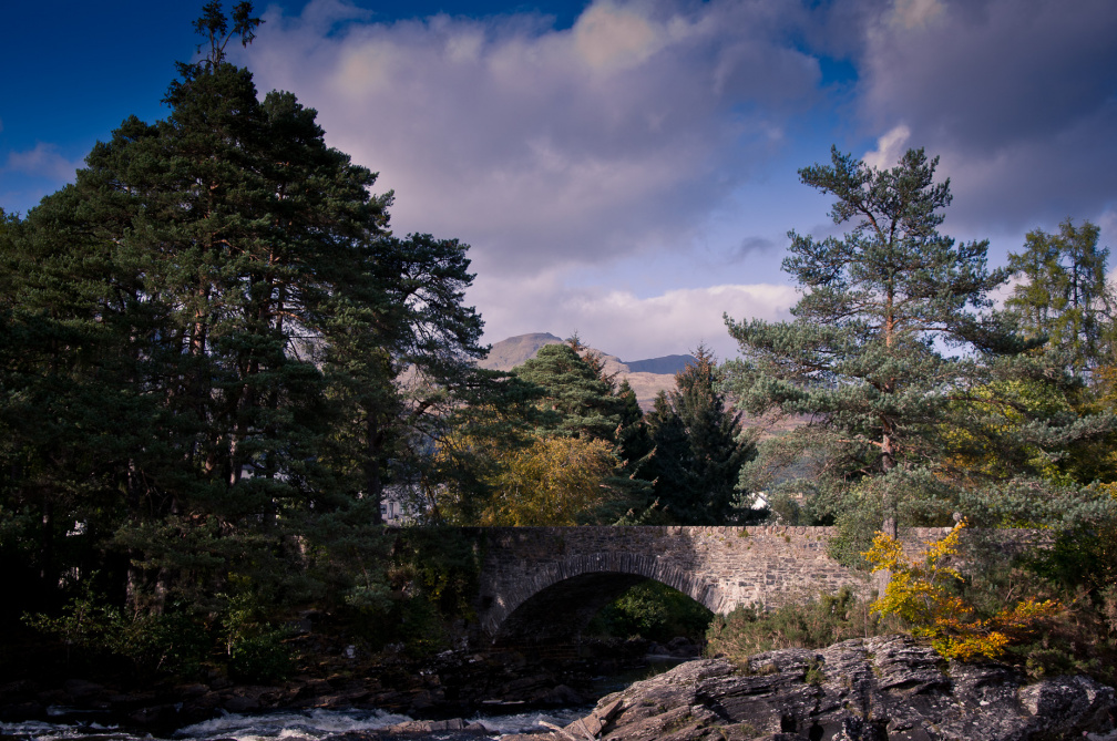 20140926 DSC 1537 1000