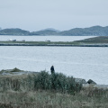 20140919 DSC 1081 1000