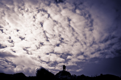 20140920 DSC 1112 1000