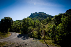 20140613 DSC 9409 1000