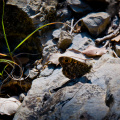 20140613 DSC 9422 1000