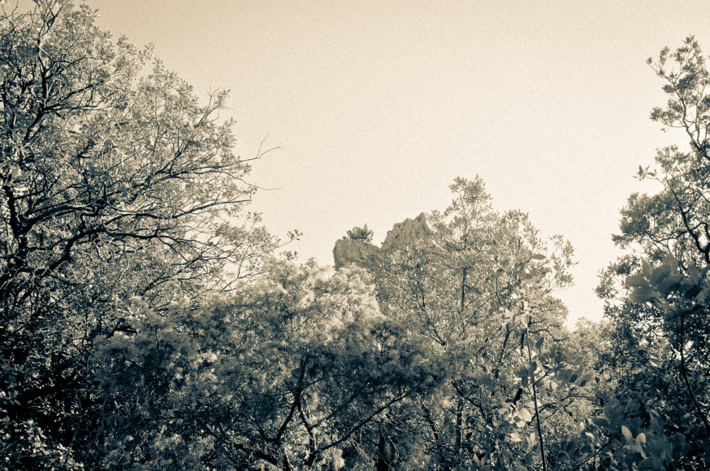 20140613 DSC 9424 1000