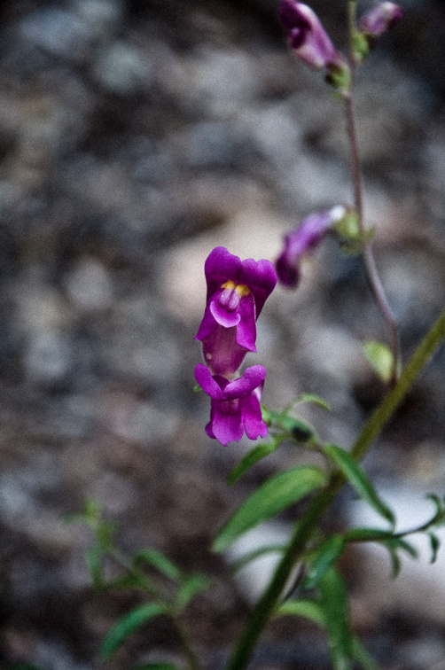 20140613 DSC 9433 1000
