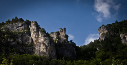 20140614 DSC 9555 1000