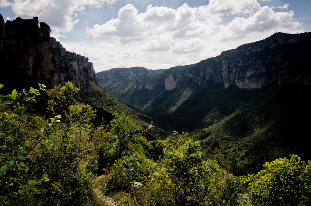 20140614 DSC 9633 1000