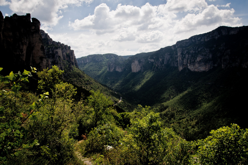 20140614 DSC 9633 1000