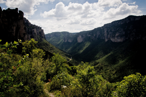20140614 DSC 9633 1000