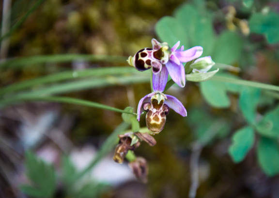 20140614 DSC 9653 1000