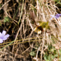 20140614 DSC 9793 1000
