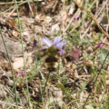 20140614_DSC_9794_1000.jpg