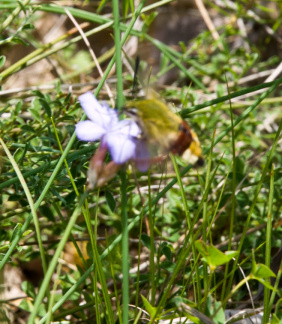 20140614 DSC 9797 1000