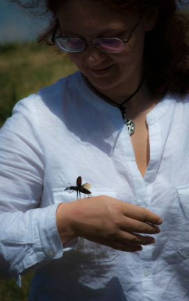 20140616 DSC 0143 1000