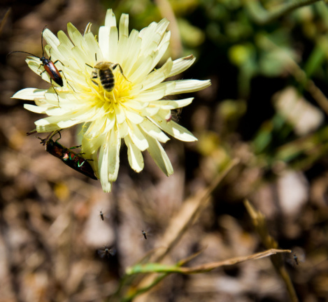 20140617 DSC 0268 1000