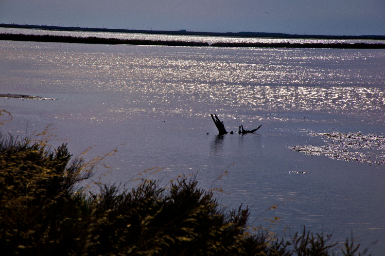 20140622 DSC 0582 1000