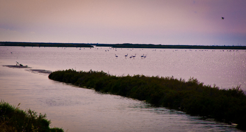 20140622 DSC 0599 1000