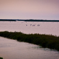 20140622 DSC 0599 1000