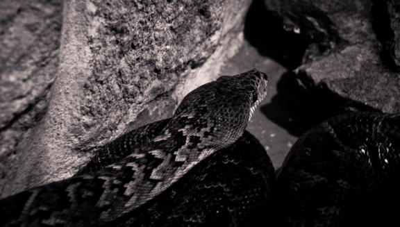 20140623 DSC 0620 1000