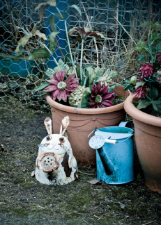 20130209 DSC 5277 1000