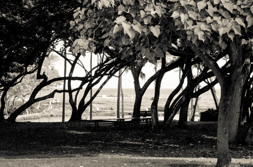 20131107 DSC 7213 1000